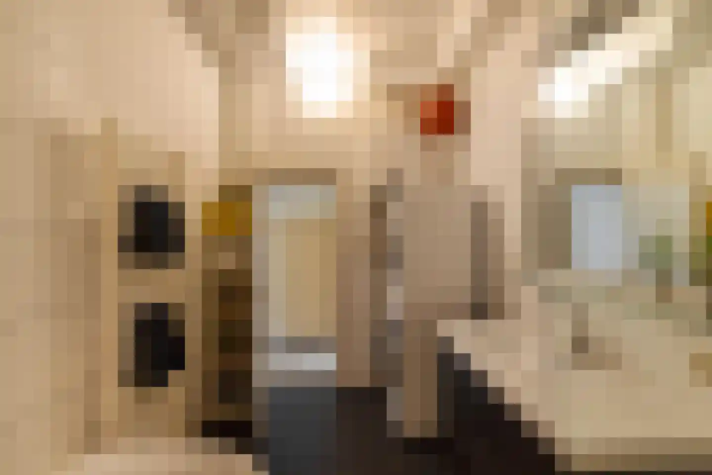 De Savornin Lohmanlaan 12 Groningen thumbnail 20