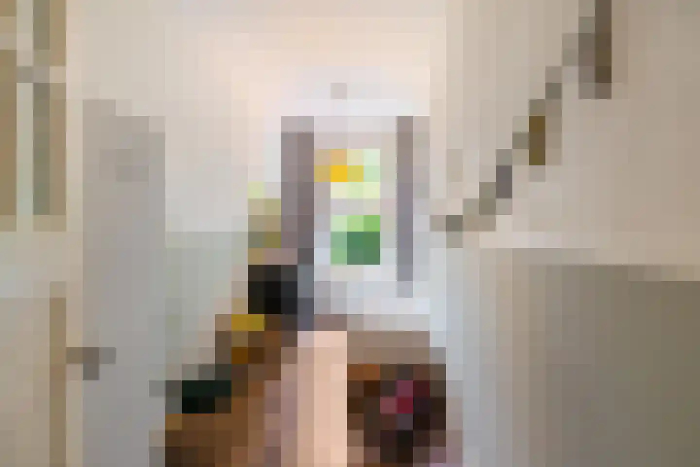 De Savornin Lohmanlaan 12 Groningen thumbnail 26