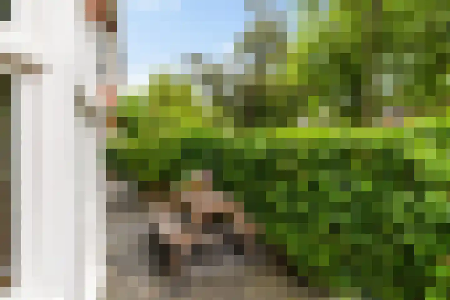 De Savornin Lohmanlaan 12 Groningen thumbnail 35