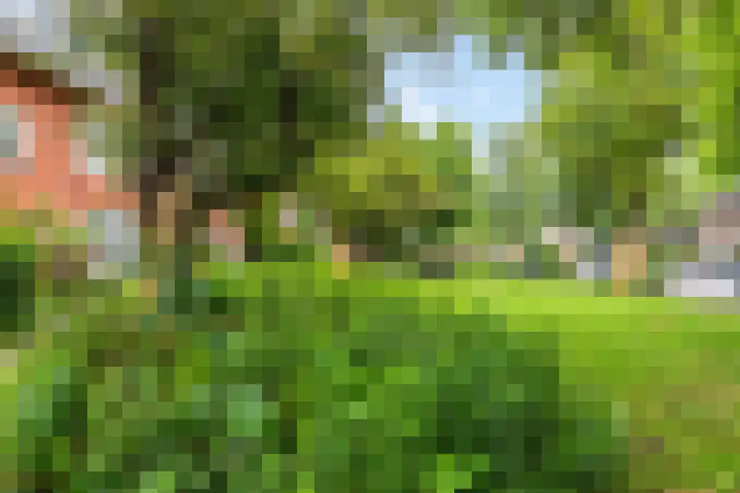 De Savornin Lohmanlaan 12 Groningen thumbnail 40