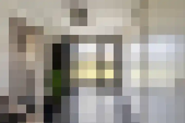 De Savornin Lohmanlaan 12 Schiedam thumbnail 12