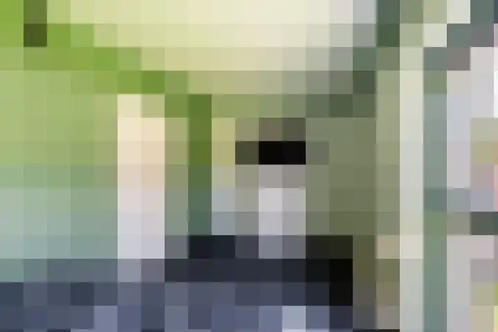 De Savornin Lohmanlaan 12 Schiedam thumbnail 19