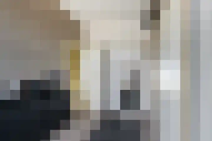 De Savornin Lohmanlaan 12 Schiedam thumbnail 24