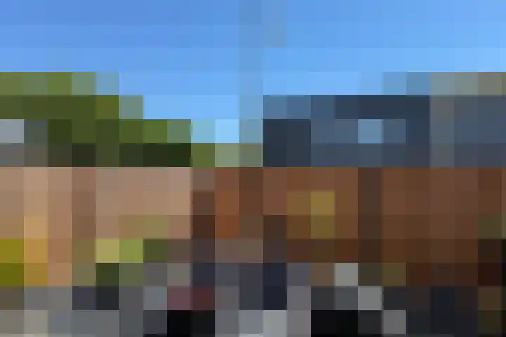 De Savornin Lohmanlaan 12 Schiedam thumbnail 5