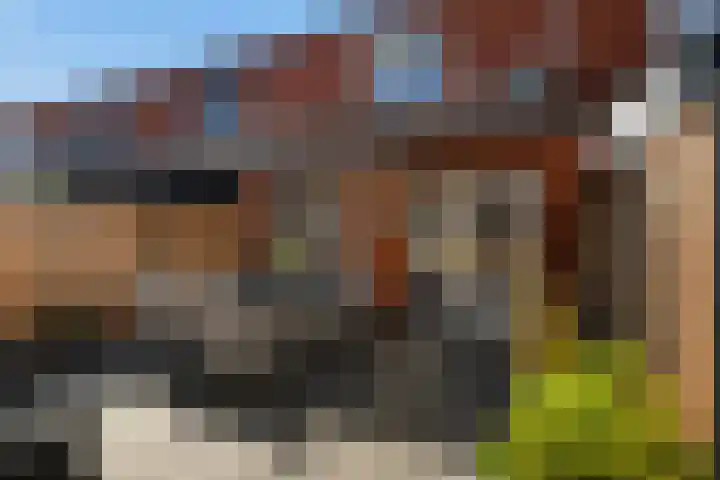 De Savornin Lohmanlaan 12 Schiedam thumbnail 7