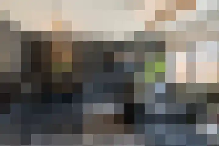De Savornin Lohmanlaan 12 Schiedam thumbnail 8