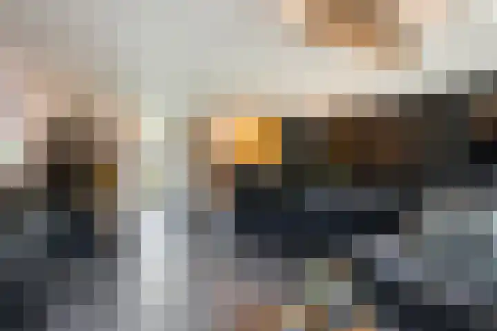 De Savornin Lohmanlaan 12 Schiedam thumbnail 9