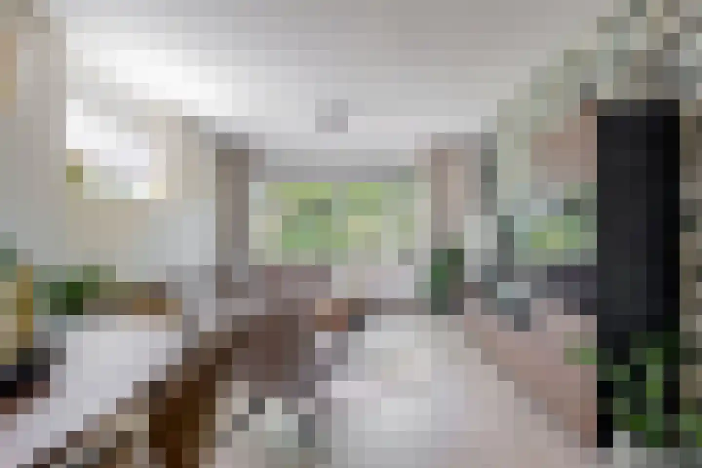 De Savornin Lohmanlaan 12 Zeist thumbnail 5