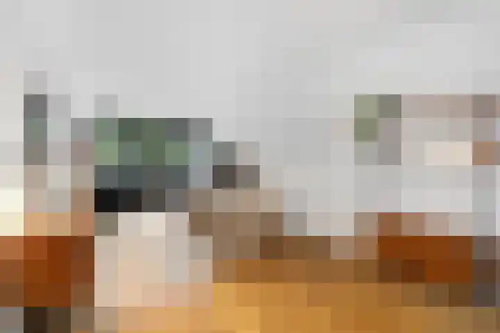 De Savornin Lohmanlaan 121 A Rotterdam thumbnail 12
