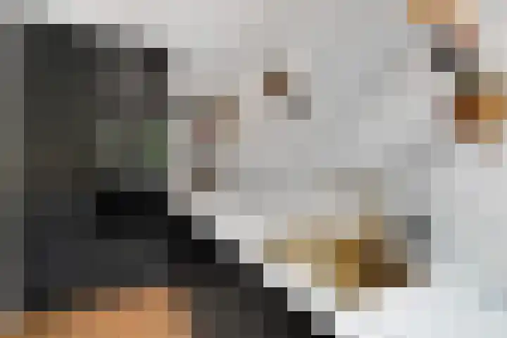 De Savornin Lohmanlaan 121 A Rotterdam thumbnail 18