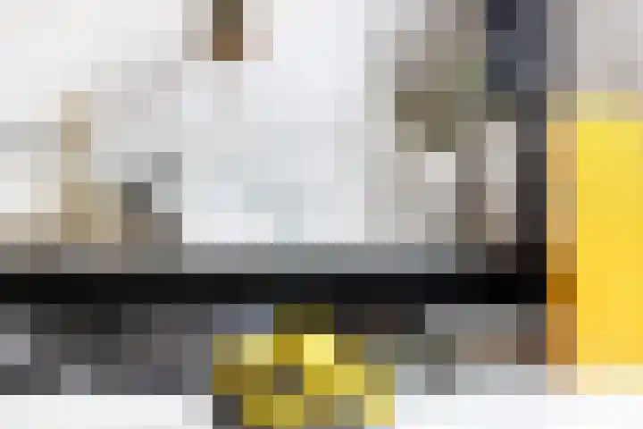 De Savornin Lohmanlaan 121 A Rotterdam thumbnail 20