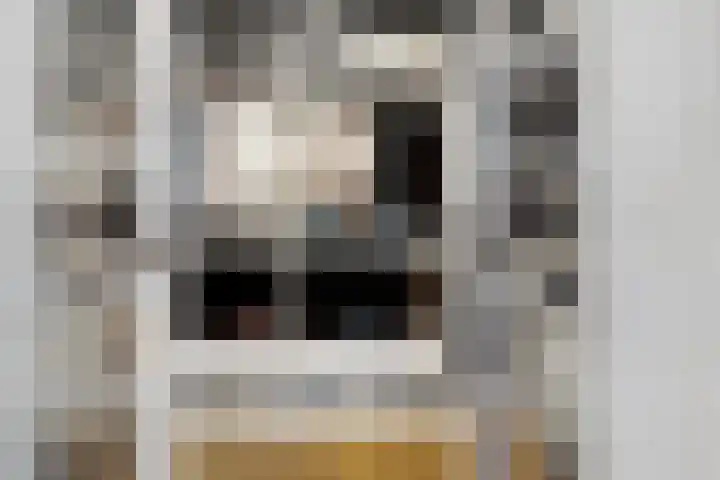 De Savornin Lohmanlaan 121 A Rotterdam thumbnail 27