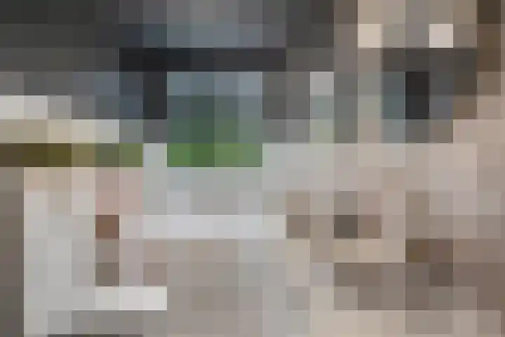 De Savornin Lohmanlaan 121 A Rotterdam thumbnail 29