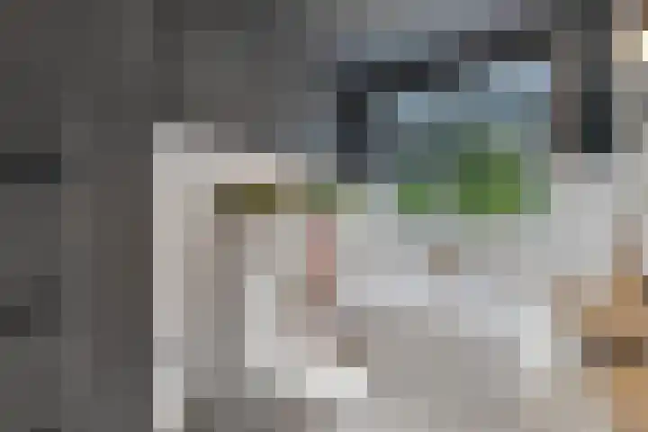 De Savornin Lohmanlaan 121 A Rotterdam thumbnail 30