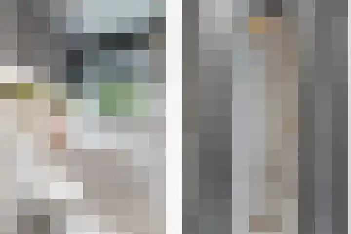 De Savornin Lohmanlaan 121 A Rotterdam thumbnail 31