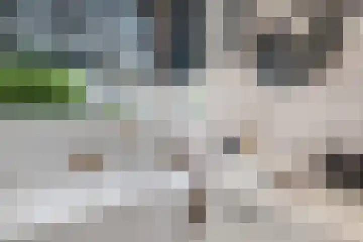 De Savornin Lohmanlaan 121 A Rotterdam thumbnail 32