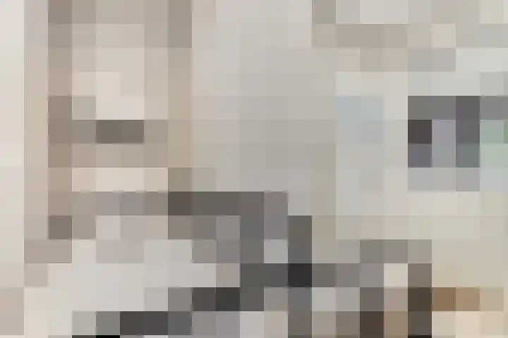 De Savornin Lohmanlaan 121 A Rotterdam thumbnail 38