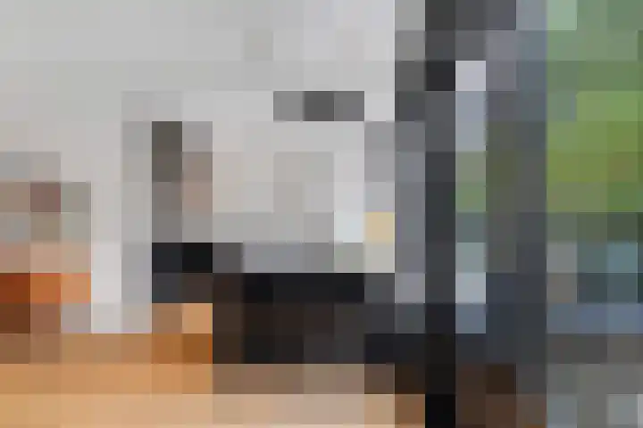 De Savornin Lohmanlaan 121 A Rotterdam thumbnail 4