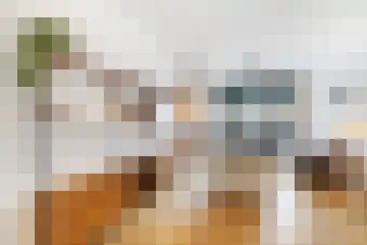 De Savornin Lohmanlaan 121 A Rotterdam thumbnail 9