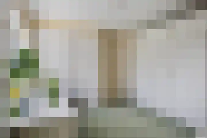 De Savornin Lohmanlaan 14 Barneveld thumbnail 15