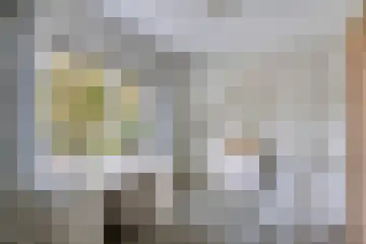 De Savornin Lohmanlaan 14 Barneveld thumbnail 17