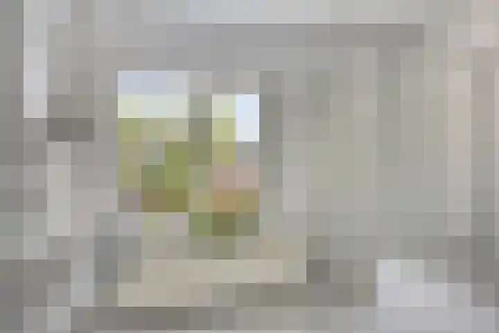 De Savornin Lohmanlaan 14 Barneveld thumbnail 18