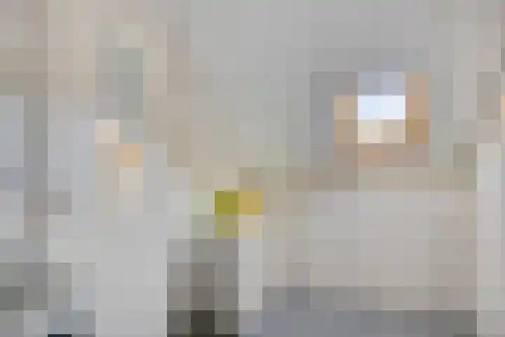 De Savornin Lohmanlaan 14 Barneveld thumbnail 20