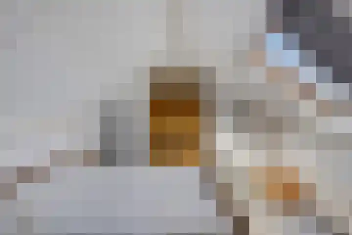 De Savornin Lohmanlaan 14 Barneveld thumbnail 21