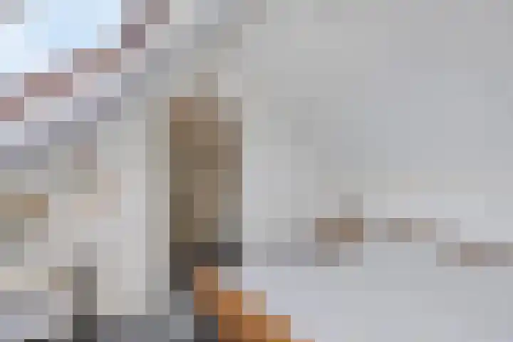 De Savornin Lohmanlaan 14 Barneveld thumbnail 22