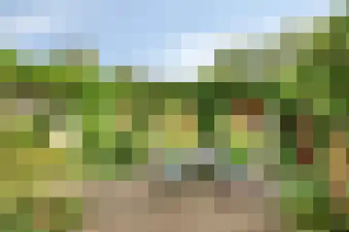 De Savornin Lohmanlaan 14 Barneveld thumbnail 23