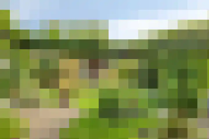 De Savornin Lohmanlaan 14 Barneveld thumbnail 24
