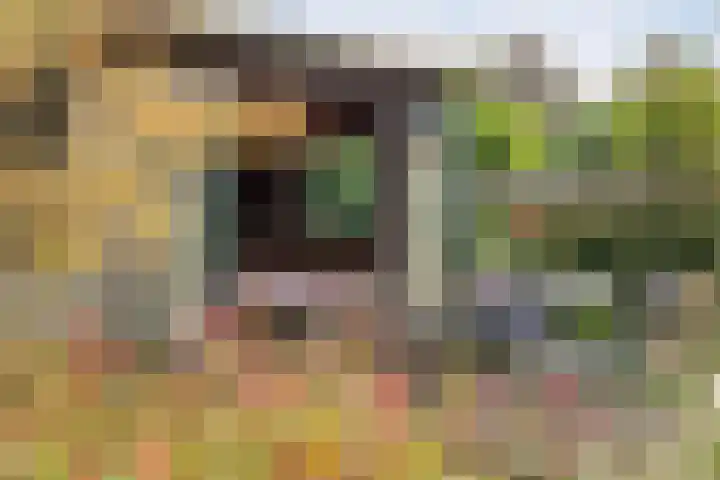 De Savornin Lohmanlaan 14 Barneveld thumbnail 26