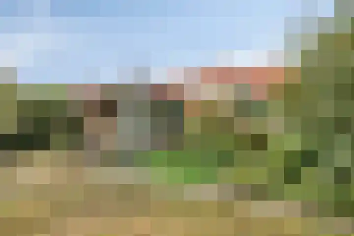 De Savornin Lohmanlaan 14 Barneveld thumbnail 27