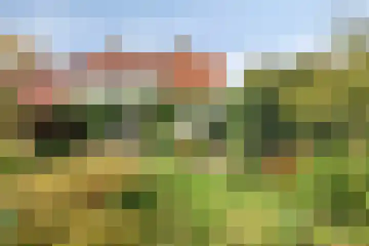 De Savornin Lohmanlaan 14 Barneveld thumbnail 28