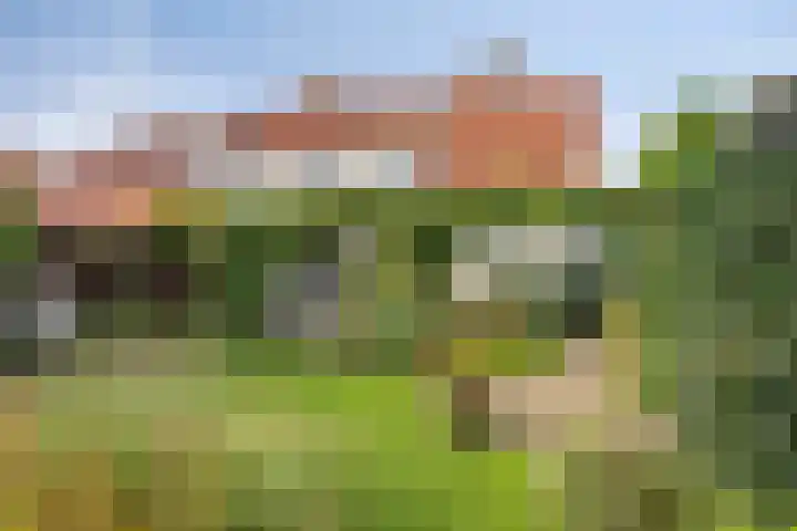 De Savornin Lohmanlaan 14 Barneveld thumbnail 29