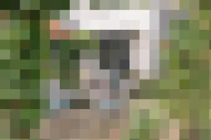 De Savornin Lohmanlaan 14 Barneveld thumbnail 30