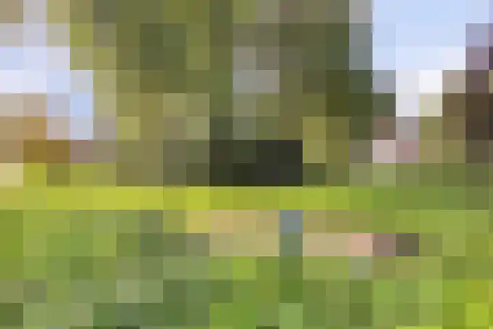 De Savornin Lohmanlaan 14 Barneveld thumbnail 32