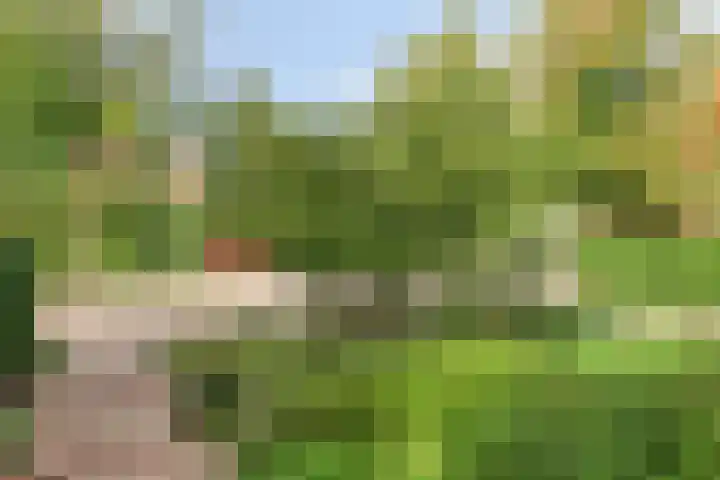 De Savornin Lohmanlaan 14 Barneveld thumbnail 4