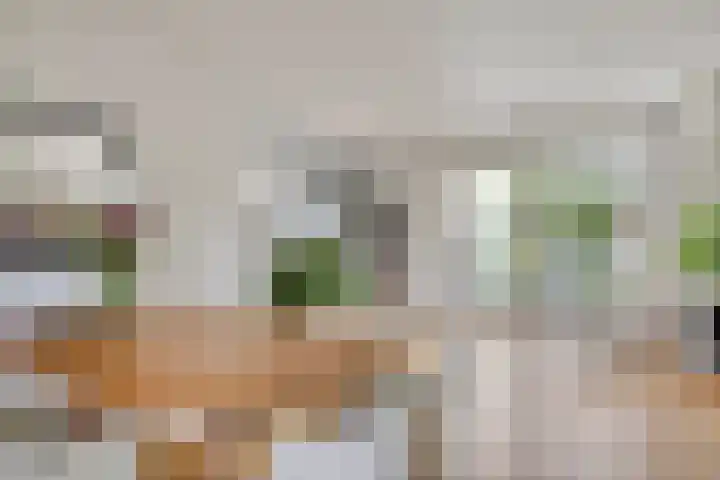 De Savornin Lohmanlaan 14 Barneveld thumbnail 6