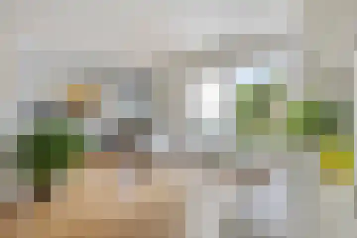 De Savornin Lohmanlaan 14 Barneveld thumbnail 7