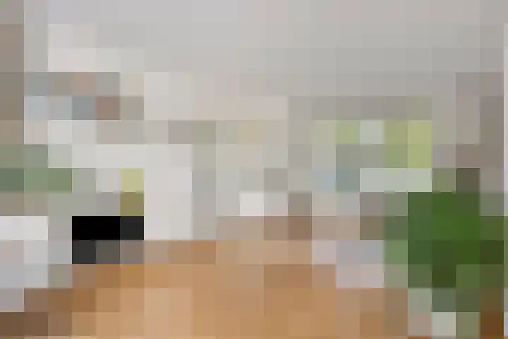 De Savornin Lohmanlaan 14 Barneveld thumbnail 8