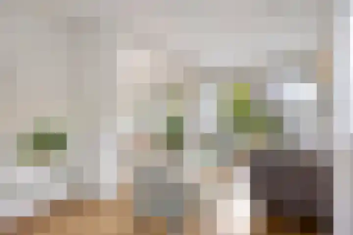 De Savornin Lohmanlaan 14 Barneveld thumbnail 9