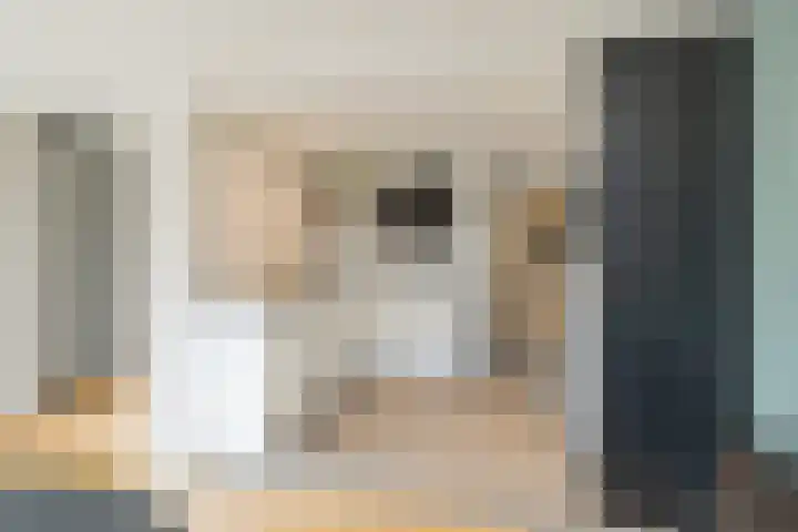 De Savornin Lohmanlaan 17 Hillegom thumbnail 22