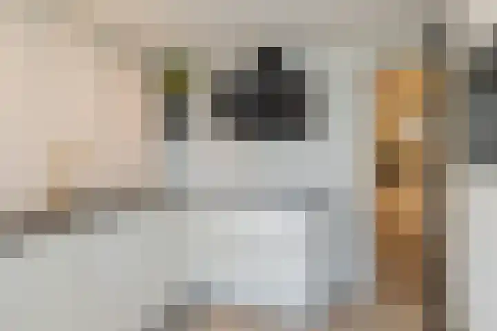 De Savornin Lohmanlaan 17 Hillegom thumbnail 24
