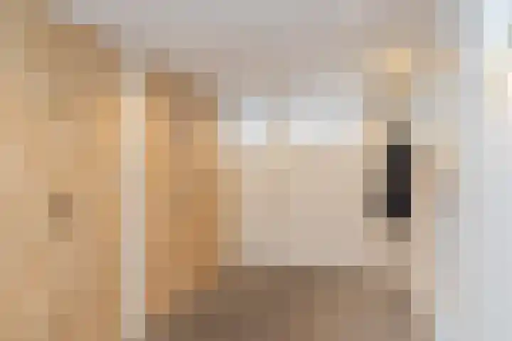 De Savornin Lohmanlaan 17 Hillegom thumbnail 25