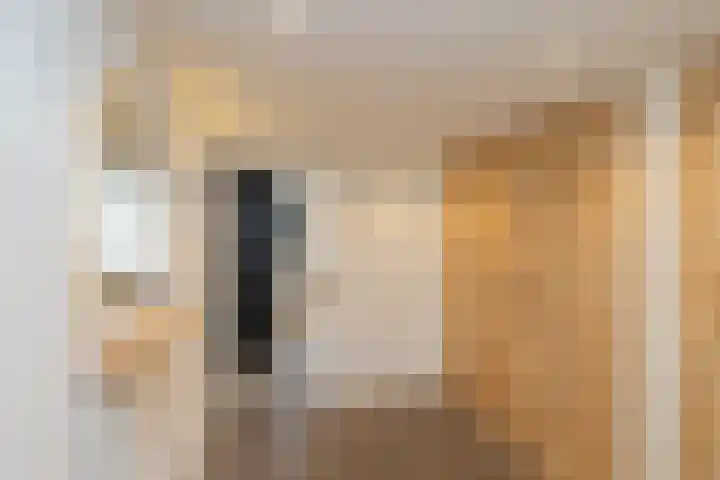 De Savornin Lohmanlaan 17 Hillegom thumbnail 26