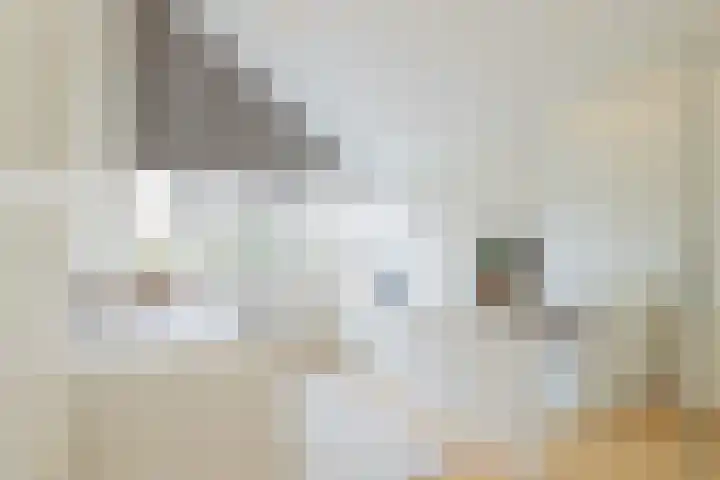 De Savornin Lohmanlaan 17 Hillegom thumbnail 32