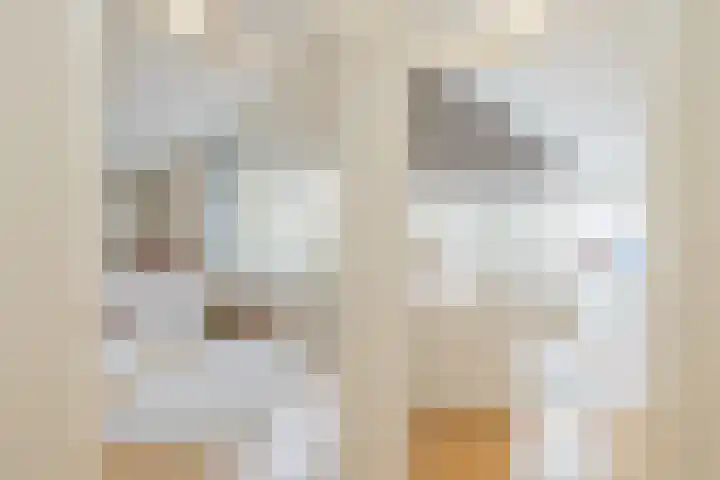 De Savornin Lohmanlaan 17 Hillegom thumbnail 33