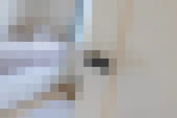 De Savornin Lohmanlaan 17 Hillegom thumbnail 35