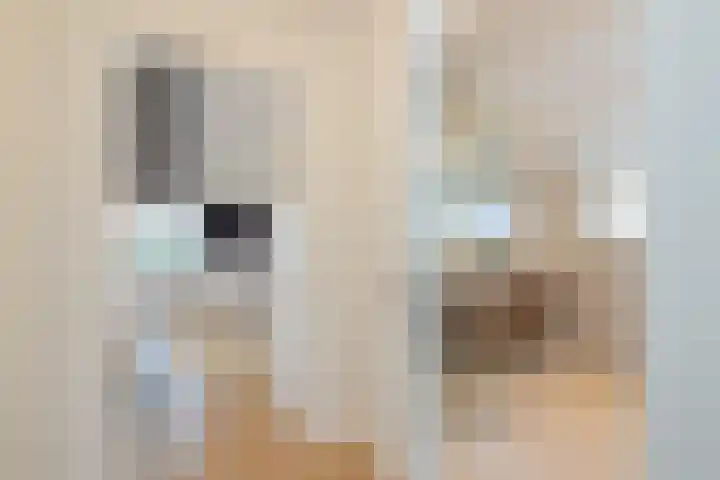 De Savornin Lohmanlaan 17 Hillegom thumbnail 41